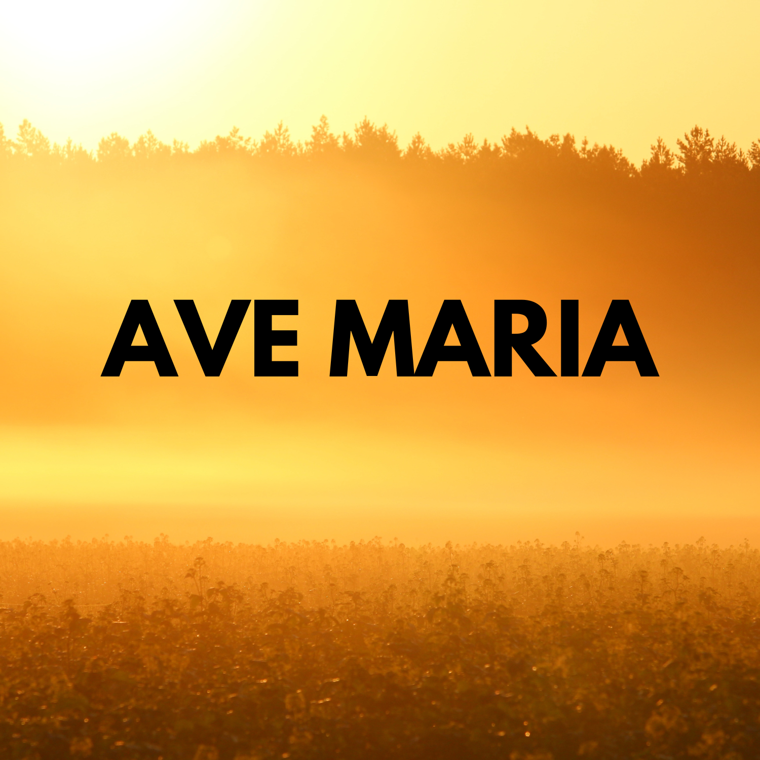 Ave Maria cover